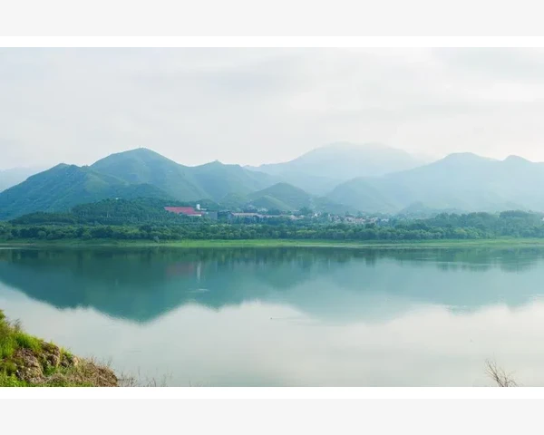 注册会计师考试机构选择与备考路径详解